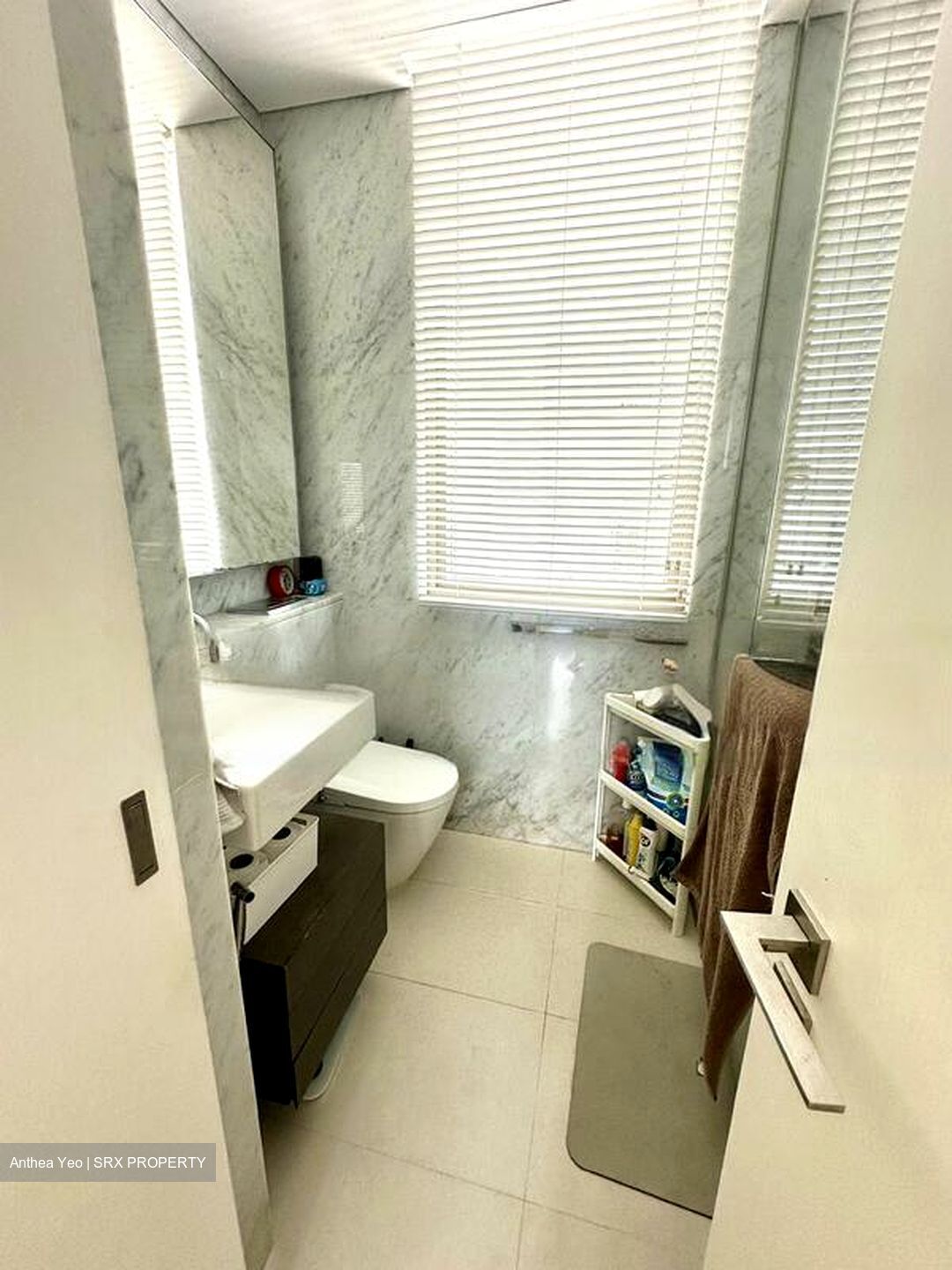 Scotts Square (D9), Apartment #533079201